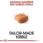 Royal Canin Poodle Adult 1,5 kg – Hledejceny.cz