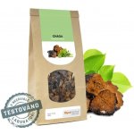 MycoMedica Chaga sušená 100 g – Zboží Mobilmania