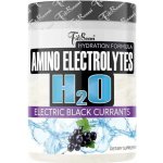 FitBoom Electrolytes H2O 500 g – Hledejceny.cz