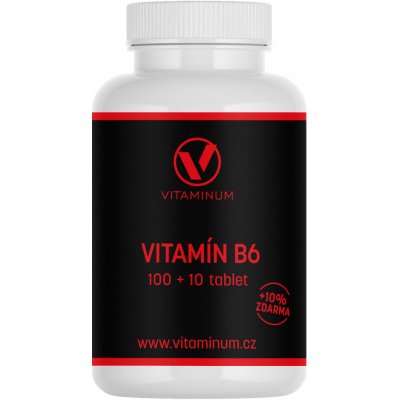 Vitaminum Vitamín B6 25 mg 110 tablet – Hledejceny.cz