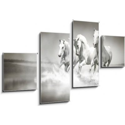 Obraz 4D čtyřdílný - 100 x 60 cm - Herd of white horses running through water Stádo bílých koní protéká vodou – Zboží Mobilmania