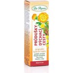 Dr. Popov Bylinná tinktura Průdušky Dýchání 50 ml – Hledejceny.cz