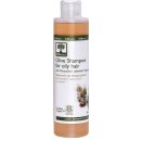 Bioselect šampon na mastné vlasy olivový 200 ml