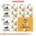 Royal Canin Siamese Adult 400 g – Zboží Mobilmania