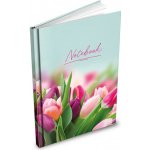 MFP 7501590 Záznamová kniha A6 čistá ZL6100 100 listů – Zboží Živě