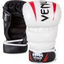 Venum Elite sparring MMA