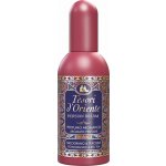 Tesori d'Oriente Persian Dream parfémovaná voda dámská 100 ml – Hledejceny.cz