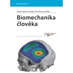 Biomechanika člověka – Hledejceny.cz