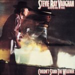 Vaughan Stevie Ray - Couldn't Stand The Weather CD – Hledejceny.cz