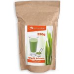 Zdravý den Mladý ječmen 250 g – Hledejceny.cz
