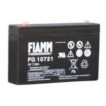 Fiamm FTZ10S-BS