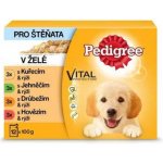 Pedigree Junior kuřecí 12 x 100 g – Sleviste.cz