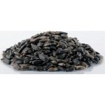 AVICENTRA slunečnice černá 500 g – Zboží Dáma