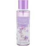 Victoria´s Secret Love Spell tělový sprej 250 ml – Hledejceny.cz