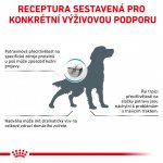 Royal Canin Veterinary Diet Dog Gastrointestinal Moderate Calorie 2 kg – Zboží Mobilmania