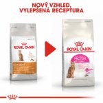 Royal Canin Cat protein Exigent 4 kg – Hledejceny.cz