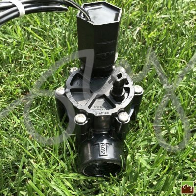 Rain Bird 100-DV 1" Elektroventil s regulací průtoku – Hledejceny.cz