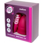 Genial Day Menstrual Cup Large L – Zbozi.Blesk.cz