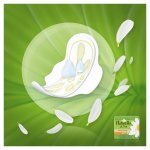 Naturella Camomile Ultra Normal 10 ks – Zboží Mobilmania