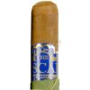 Doutníky The Oscar Connecticut Robusto