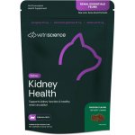 VetriScience Renal Ess. Feline podp.ledvin kočka 144 g – Hledejceny.cz