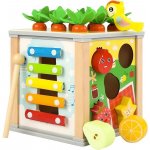 Kruzzel 22566 vkládací kostka edukační 5v1 – Hledejceny.cz