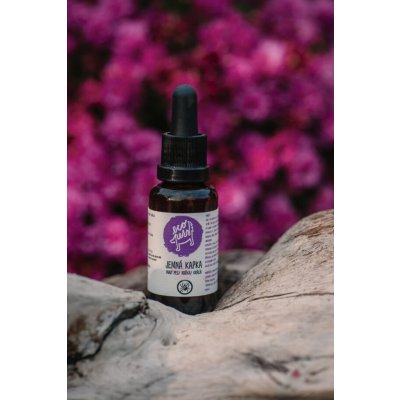 Ecopets LESNÍ KAPKA sérum proti blechám a klíšťatům 30 ml – Hledejceny.cz