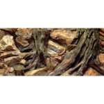 ATG pozadí Kořeny 100 x 40 cm – Sleviste.cz