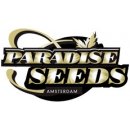 Paradise Seeds Automaria II semena neobsahují THC 3 ks