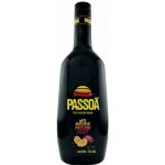 Passoã 17% 1 l (holá láhev) – Zboží Dáma