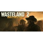 Wasteland 2 (Director's Cut) – Hledejceny.cz