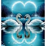 Norimpex diamantové malování Zamilované labutě 30 x 40cm – Sleviste.cz