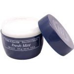 Cyril R. Salter Freshmint krém na holení 165 g – Hledejceny.cz