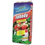 Agro CS Substrát pro jahody 45 l – Zboží Mobilmania