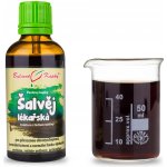 Grešík Bylinné kapky Šalvěj 50 ml – Hledejceny.cz