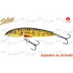 Salmo Minnow Floating Trout 5cm – Hledejceny.cz