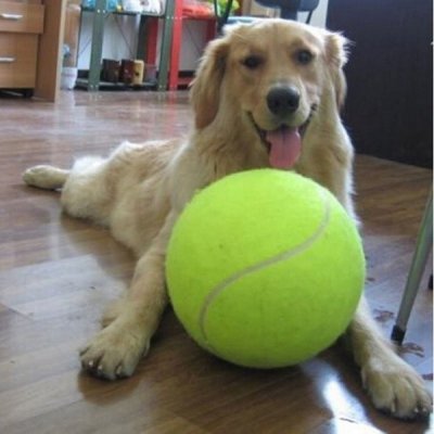 Velký tenisový míč pro psy – Zboží Mobilmania