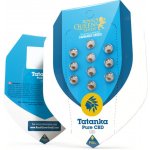 Royal Queen Seeds Tatanka Pure CBD semena neobsahují THC 3 ks – Zbozi.Blesk.cz