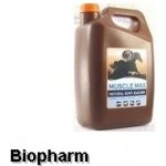 Foran Muscle Max 1 l – Hledejceny.cz