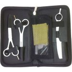 Fox sada kadeřnických nůžek 5,5" + břitva bílá 1509495 – Zboží Dáma