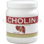 NutriStar Cholin 500 kapslí – Hledejceny.cz