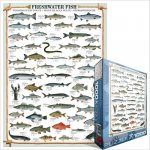EuroGraphics Sladkovodní ryby 1000 dílků – Zboží Mobilmania