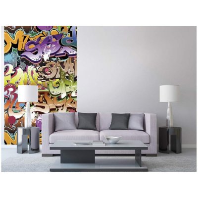 Dimex MS-2-0322 vliesová fototapeta na zeď Graffiti rozměry 150 x 250 cm – Zboží Dáma