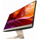 Asus Zen V222FAK-BA266T