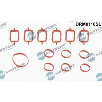 Sada těsnění, koleno sacího potrubí Dr.Motor Automotive DRM0110SL – Sleviste.cz