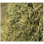 ADW TMR CHAMPION prémiová směs pro koně 15 kg – Zboží Dáma