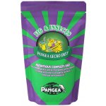 Pangea Gecko Diet Fig & Insects 228 g – Zboží Mobilmania