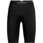 Icebreaker Women`s 200 Oasis Leggings – Zboží Dáma