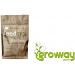 Green House Powder feeding BIOGrow 500g – Hledejceny.cz