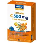 Revital PREMIUM VITAMIN C 500 mg S rakytníkem 60 kapslí – Hledejceny.cz